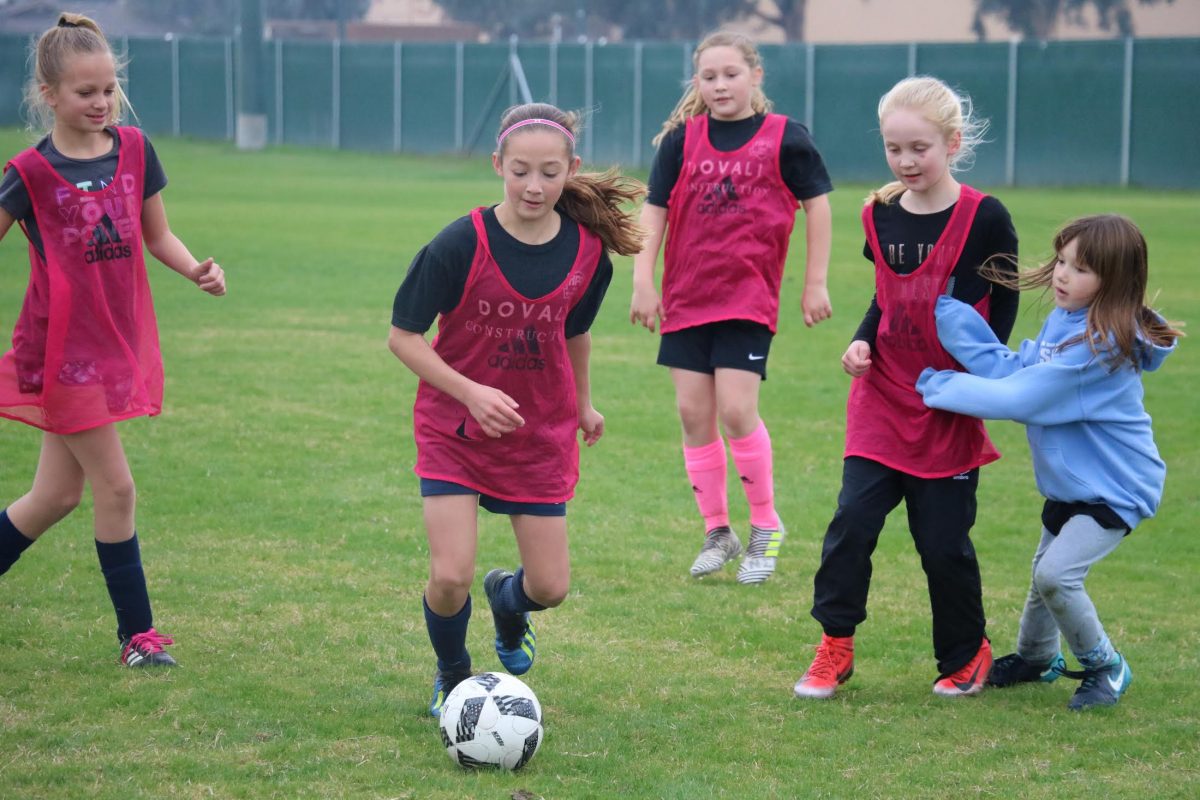 Camps/Clinics Camps/Clinics